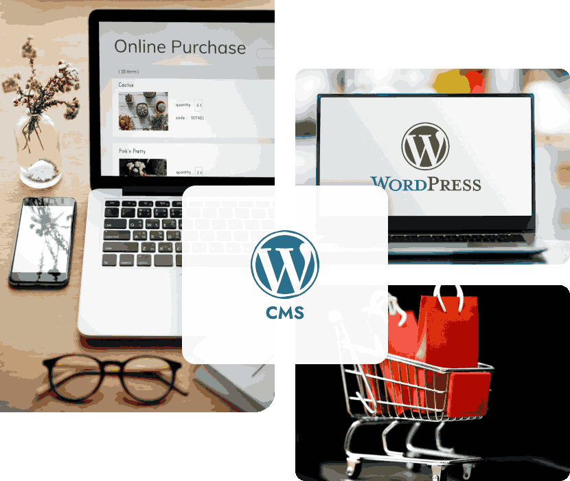 wordpress-cms